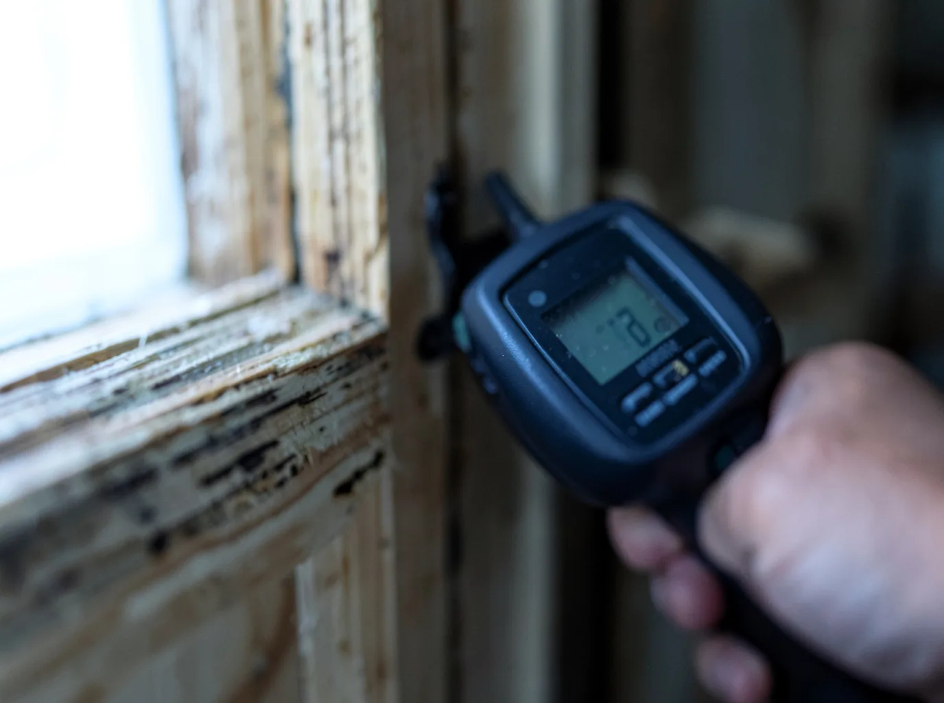 Contents Pack Out And Restoration in Tamms, IL